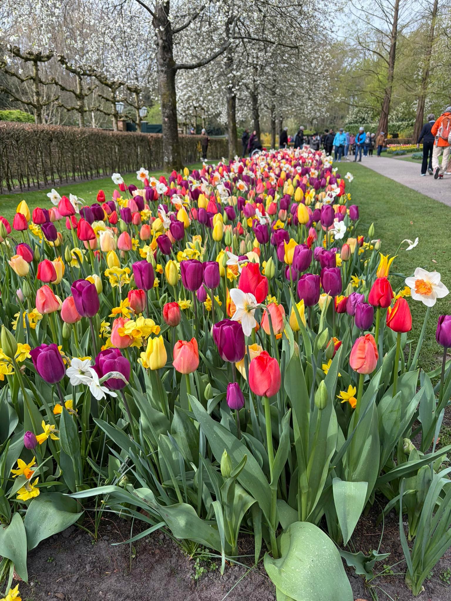 Holland